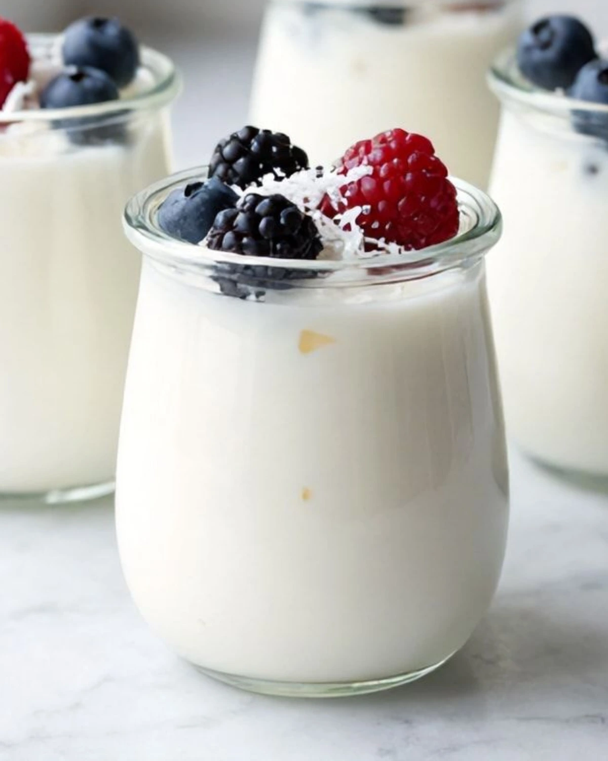 Coconut yogurt protein snack cups